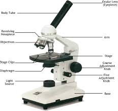 Connect these using straight lines. Microscopy