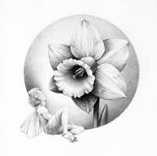 Narcissus Sketch Flower Sketches Birth Flower Tattoos Flower Drawing