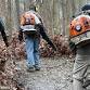 Adopt-a-Trail | Nov. 6 | Lake Trail & Cross... event in Peninsula, OH