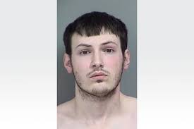 Guilty pleas made in Adrian Heritage Park murder