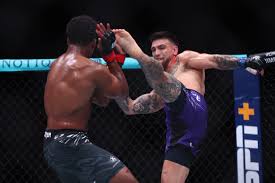 Cam Rowston vs Cody Brundage Pick, 01/31/2026 Predictions UFC 325 Odds