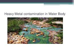 We did not find results for: Water Pollution Due To Heavy Metals Pesticides