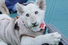 대전아쿠아리움