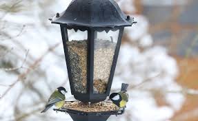 Diy Gartenlaterne Als Futtersilo Fur Vogel In 2020 Laterne Garten Laterne Garten