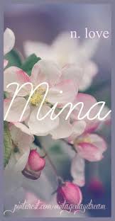 Baby Girl Name Mina Meena Meaning Love Origin German Https Www Pinterest Com Vintagedaydr German Baby Girl Names Cool Baby Girl Names Baby Girl Names