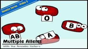 Two sisters demystifying #biology with humor & relevance. Multiple Alleles Abo Blood Types And Punnett Squares Youtube