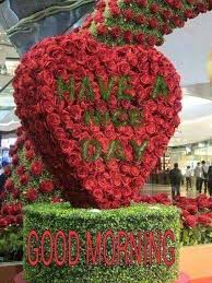 We choose only the very best quality flowers around the world to make. Good Morning Beautiful Rose Flowers Good Morning Images Flowers Beautiful Roses