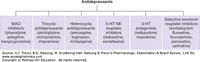 Antidepressants Katzung Trevors Pharmacology