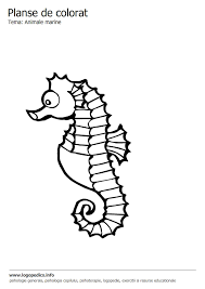 Planse de colorat cu rate. Poze Blog Imagini Cu Animale Marine De Colorat