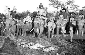 The Prince of Wales and his prize tiger that he shot on his hunting expedition into the Himalayas, Nepal, January 29, 1922. From left. Lord Cromer, Sir Lionel Halsey, The Prince of