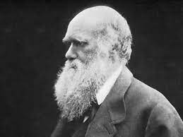 Darwin's makes healthy pet food delivery easy. What Darwin Got Right And Wrong About Evolution Britannica