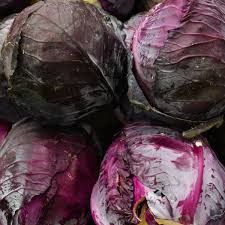 Image result for hlávková kapusta