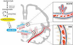 It includes the links from pages known to the robot. Brain It On 27 Bolum