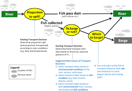 1 Flow Chart Of General Management Decisions Related To The
