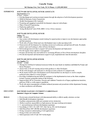 junior flutter mobile developer cv