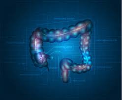 Look up words and phrases in comprehensive, reliable bilingual dictionaries and search through billions of online. Dickdarm Anatomie Illustration Auf Einem Weissen Hintergrund Detaillierte Darstellung Von Dick Ileum Appendix Aufsteigend Colon Transversum Colon Descendens Sigmoid Rektum Und Analkanal Lizenzfrei Nutzbare Vektorgrafiken Clip Arts