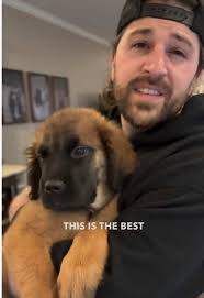 The Ultimate Puppy Training Schedule for New Owners