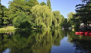 Picknickplatze Braunschweig Stadte Reise Stadtereisen