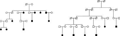 a major susceptibility gene for asthma maps to chromosome