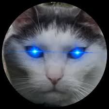 Tracey Cash NNJ 🦋🐝🐛🦀♋️ (@TCache701)