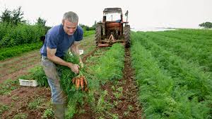 We have a collection of easy trivia questions that you can play in teams or ask each player to select a category to test their trivia chops. The Farming Quiz Howstuffworks