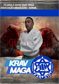 Grátis: APOSTILA COMPLETA REQUESITOS PARA FAIXA VERDE VOL 04 - Material  Claro e Objetivo em PDF para Estudo Rápido