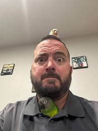 Vegan Lasagna or Salad Dish