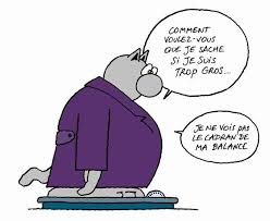 Resultats De Recherche D Images Pour Poupees Dessin Humour Le Chat Geluck Dessin Humoristique Chat Humour
