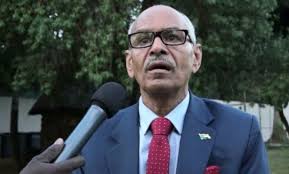 The new sudanese foreign minister cv