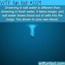 Dafuqposts Funsubstance Wtf Fun Facts Fun Facts Funny Facts