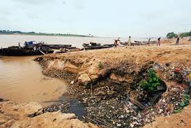 Image result for Bioremediation