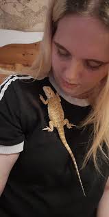 Our dearest Dusty Bun ❤️🥺