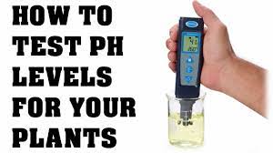 Check spelling or type a new query. How To Use A Ph Tester And Calibration Testing Ph In Your Water Youtube
