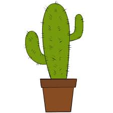 Pencil sketch cactus flower drawing. How To Draw A Cactus Easy Drawing Art