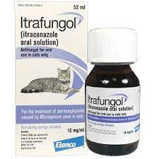 Package insert for itrafungol (itraconazole oral solution), new animal drug. Itrafungol 52 Ml Agrimed Malta
