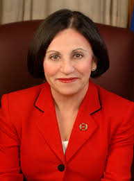 Toni Boucher: Say 'No' to Medical Marijuana