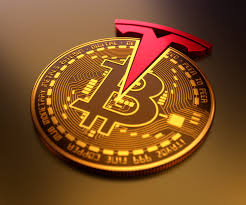 The government will force people to use bitcoin through a centralized custodian, and have access to everyone's private keys. Wait So Elon Musk Sold His Bitcoin By Toby Hazlewood Apr 2021 Level Up Coding