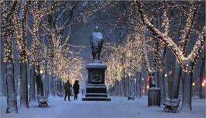 Pin By Linda Natuurlijk Tante Lintje On Christmas Best Christmas Light Displays Best Christmas Lights Snow