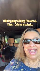 #Petsuitesatlantajohnscreek, #GSDlife, #puppypreschool #zufluchtk9s