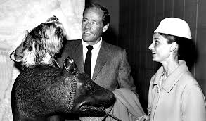 Luca dotti is the son of audrey hepburn and italian psychiatrist, professor andrea dotti. Audrey Hepburn The Extraordinary In The Ordinary