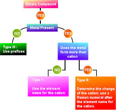 ionic compound flowchart bedowntowndaytona com