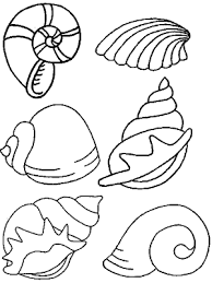 In der praktischen seniorenarbeit und begleitung von senioren mit demenz sind sie, was den einsatz der verschiedenen malvorlagen betrifft, ganz frei. Malvorlagen Muscheln Kostenlos Coloring And Malvorlagan