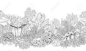Koralle 14 gratis malvorlage in fische tiere ausmalen. Hand Gezeichnete Unterwasser Naturliche Elemente Nahtlose Linie Horizontale Muster Mit Riff Korallen Monochrome Meeresboden Textur Schwarz Weiss Illustration Vektor Skizze Lizenzfrei Nutzbare Vektorgrafiken Clip Arts Illustrationen Image 75383050