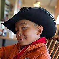 The Black Stallion's Blood Bay Colt by Walter Farley