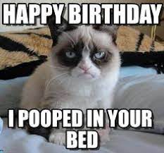 56 Best Grumpy Cat Birthday Ideas Grumpy Cat Grumpy Cat Birthday Grumpy