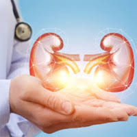 Overbeck & pal urology — corneliusstraße 85, düsseldorf. Die 10 Besten Urologen In Dusseldorf 2021 Wer Kennt Den Besten