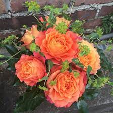 It's also a gorgeous rose to. In Love With These Free Spirit Roses Free Spirit Rose Calyx Flowers Rose Arrangement