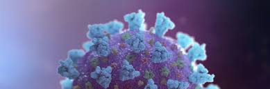 Update Zur Coronavirus Problematik Pestalozzi Schule Pfedelbach