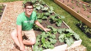 Shade gardens provide cool, refreshing areas of beauty during summer's heat. Spacing Guide For High Density Planting Maximum Productivity Youtube