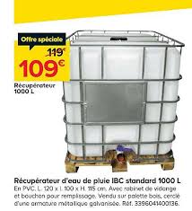 Offre Recuperateur D Eau De Pluie Ibc Standard 1000 L Chez Castorama